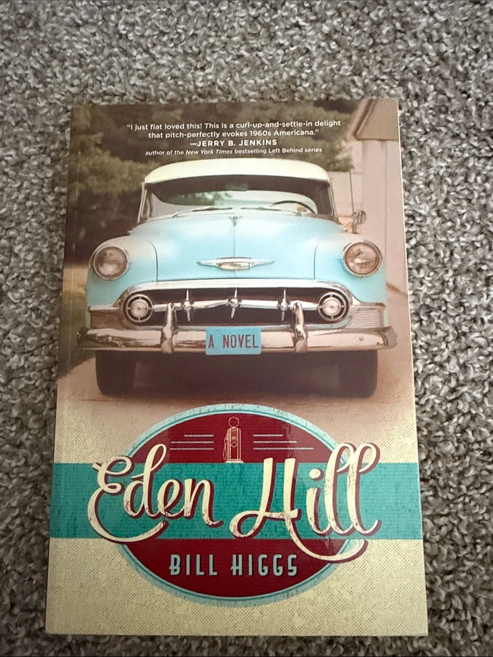 Eden Hill by Bill Higgs - Turquoise & Cream Novel